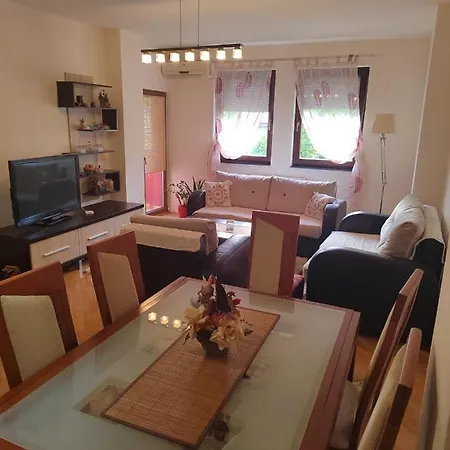 Center Flat Apartment